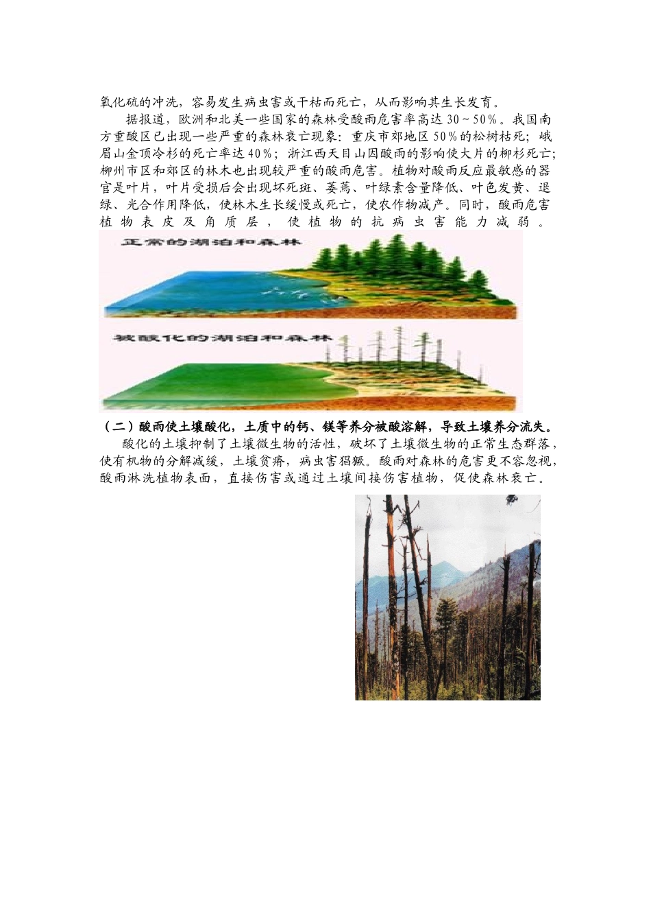 酸雨的危害及防治研究报告修改后_第2页