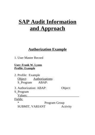 SAPAuditInformationandApproach