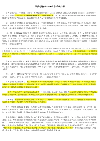 国美领航者ERP信息系统