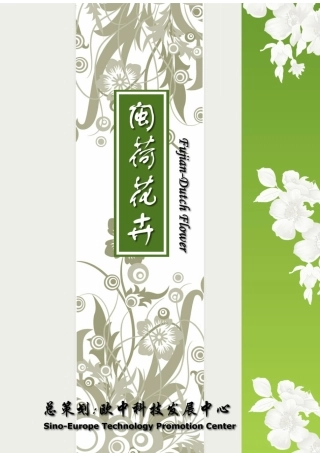 闽荷花卉网站策划书