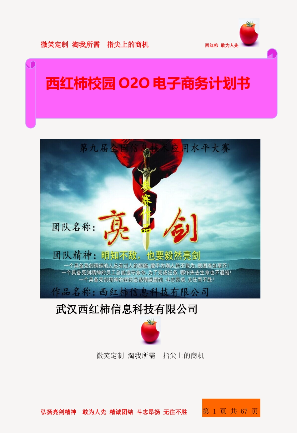 O2O电子商务计划书_第1页