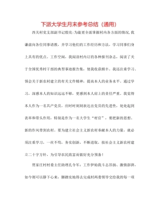 下派大学生月末参考总结（通用）