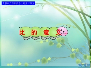 比的意义 (4)