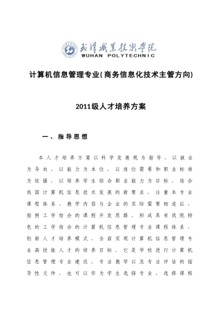 计算机信息管理(商务信息化技术主管)