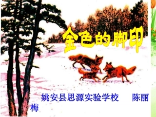 《金色的脚印》课件