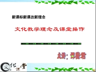 文化教学（第三讲）(南开)