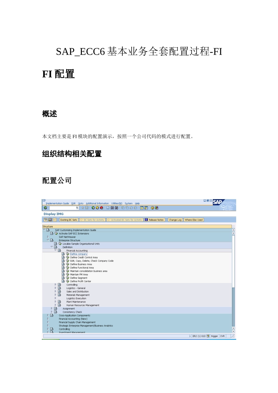 SAP_SP-ECC6基本业务全套配置过程_FI配置-V11-trigger_第1页