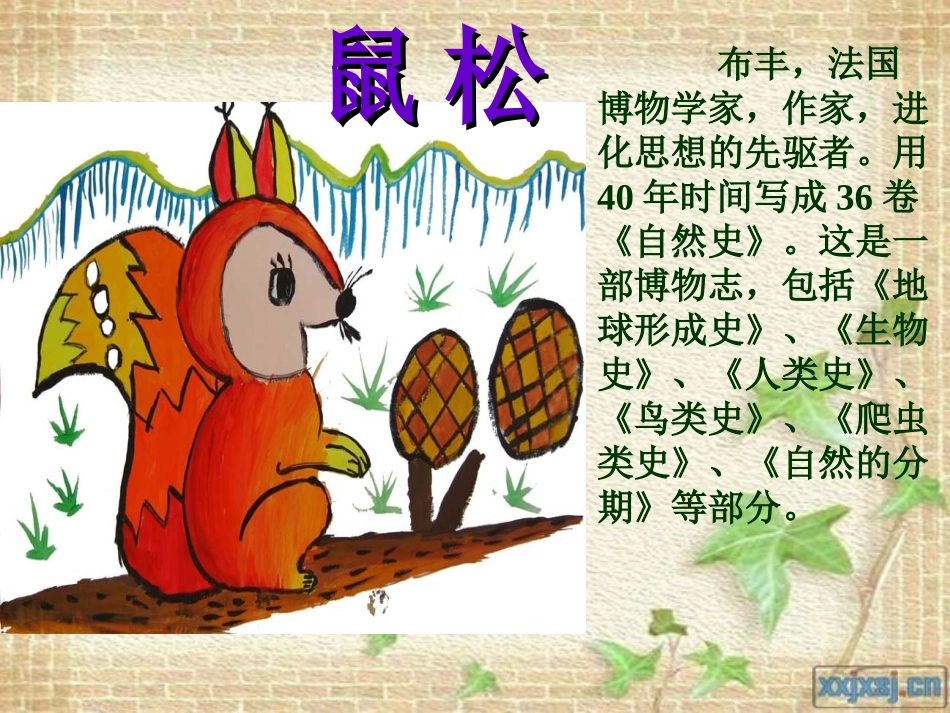 人教版五年级语文上册第三组《10松鼠》PPT课件2_第1页