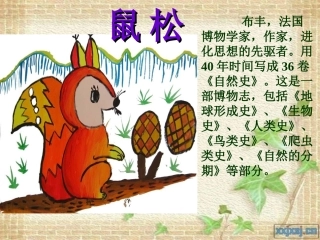 人教版五年级语文上册第三组《10松鼠》PPT课件2