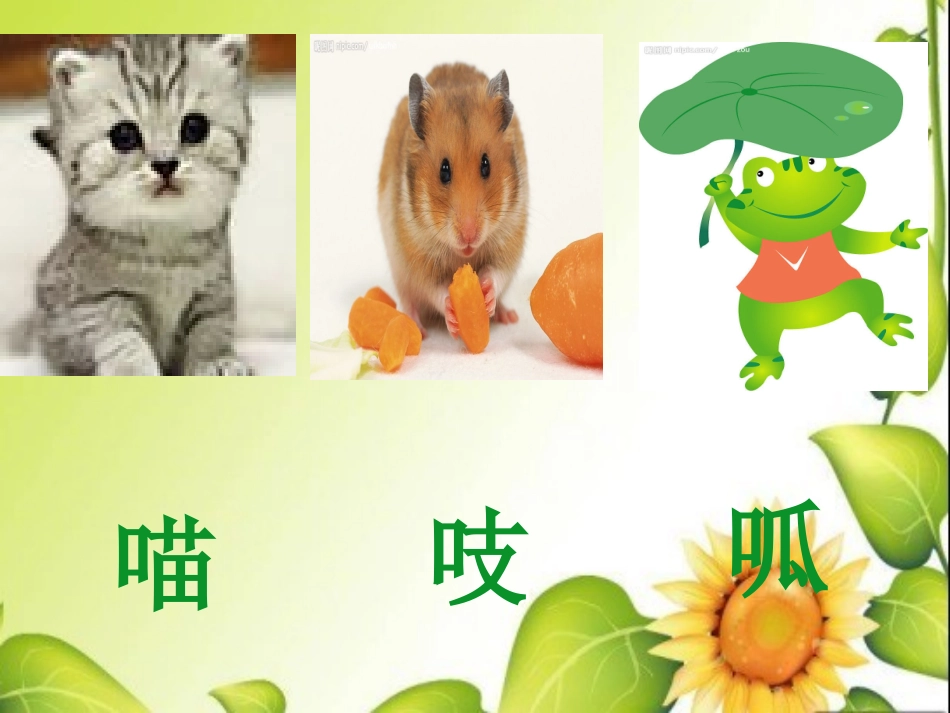 《红领巾真好》课件_第3页