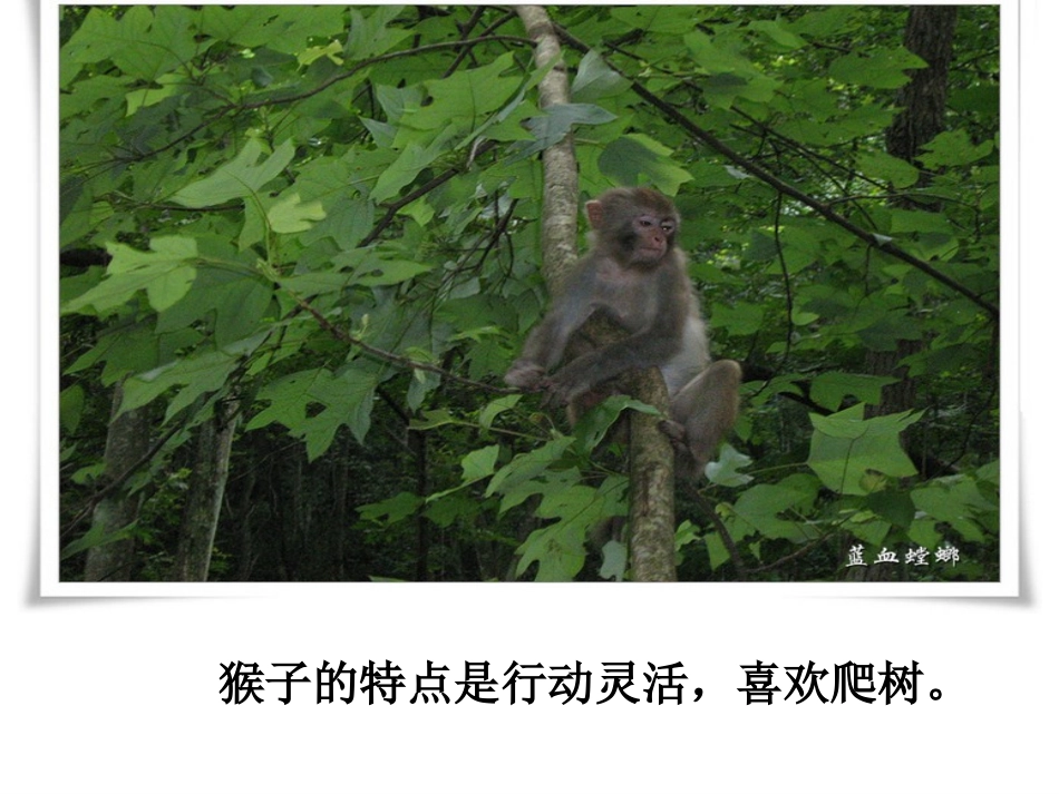 从现在开始课件 (2)_第3页