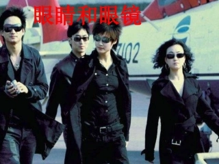 眼睛和眼镜课件