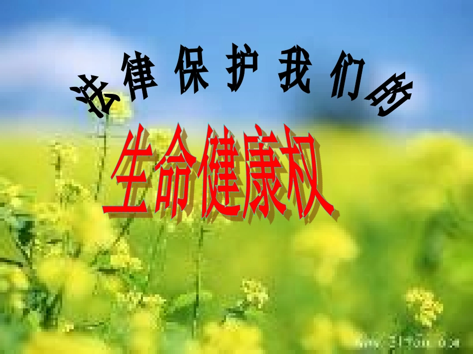 法律保护我们的生命健康权_第1页