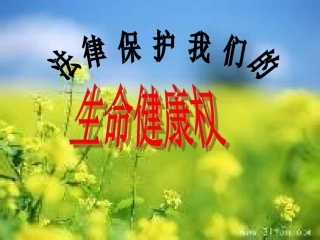 法律保护我们的生命健康权