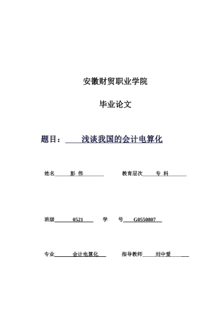 试论我国的会计电算化