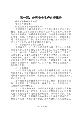 第一篇：公司安全生产自查报告