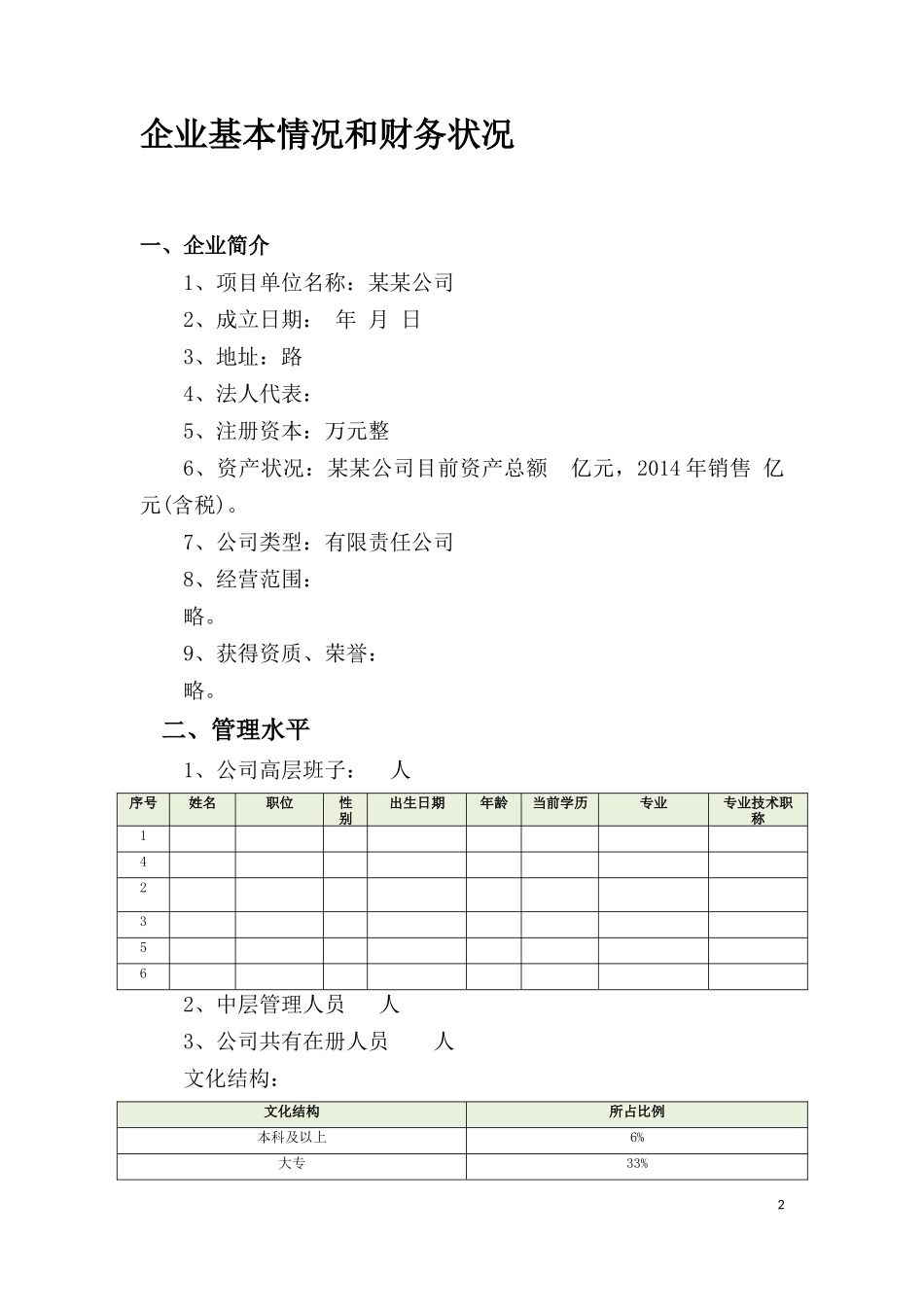 电子商务平台项目申报书_第2页