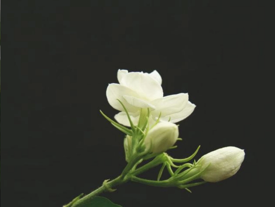 从分数到分式 (2)_第1页