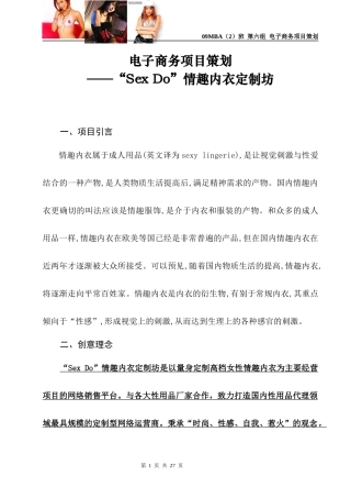 电子商务策划——sexdo情趣内衣定制工作坊