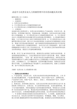 试论中小民营企业人力资源管理中存在的问题及其对策