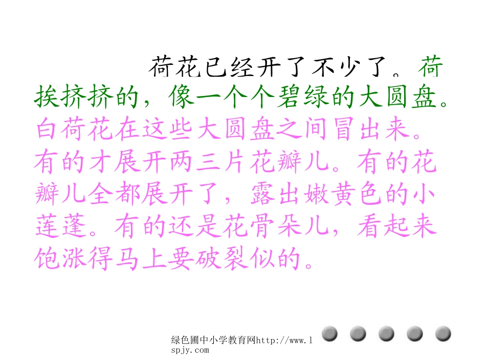 荷花教学PPT课件_第3页