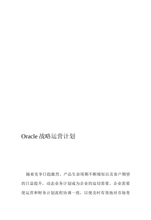 《Oracle战略运营计划》