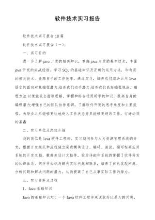 软件技术实习报告