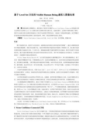 基于levelset方法的虚拟人图像处理