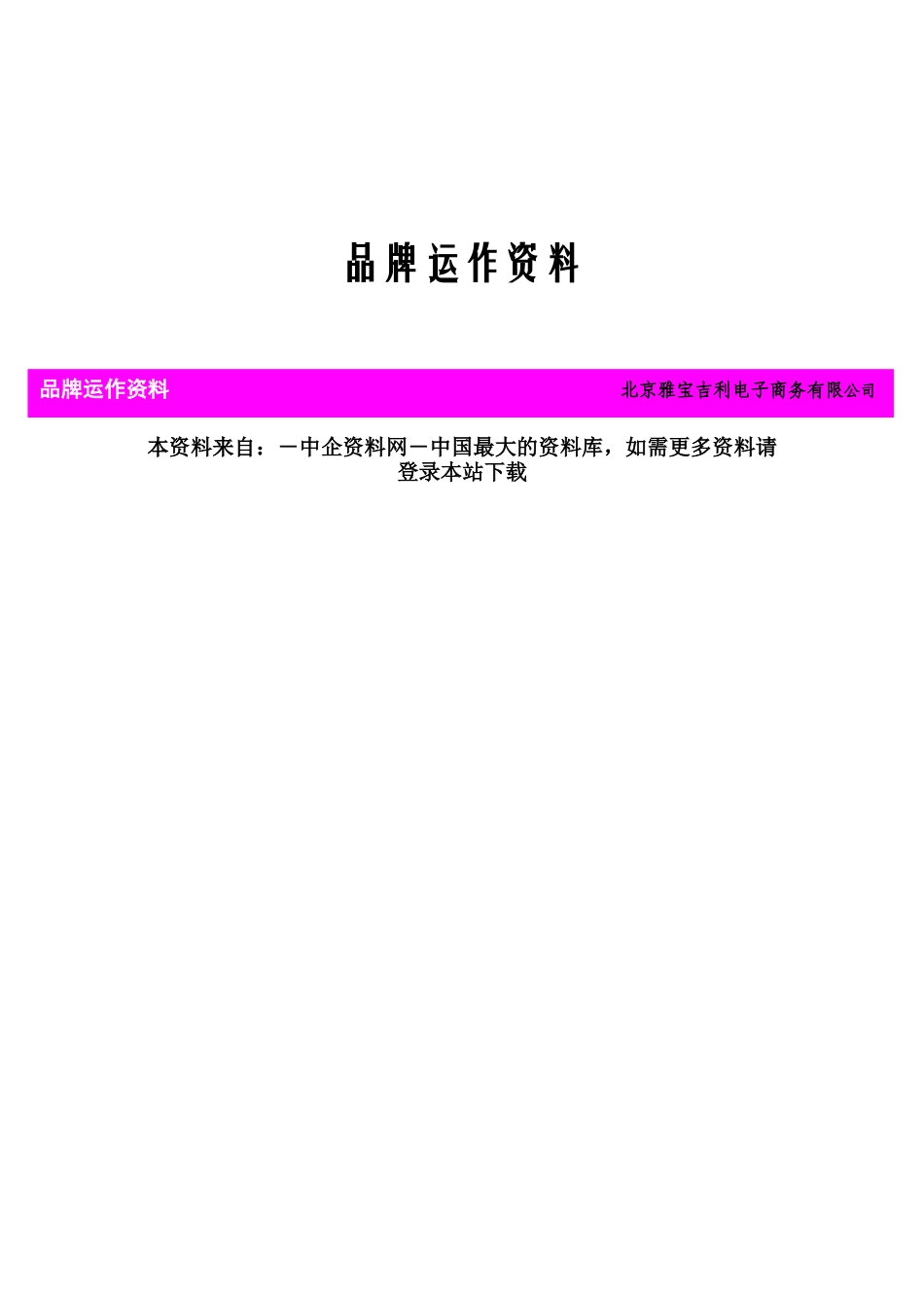 XX电子商务公司的品牌运作资料_第1页