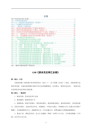 XXXX年新资本充足率(BIII)填报说明