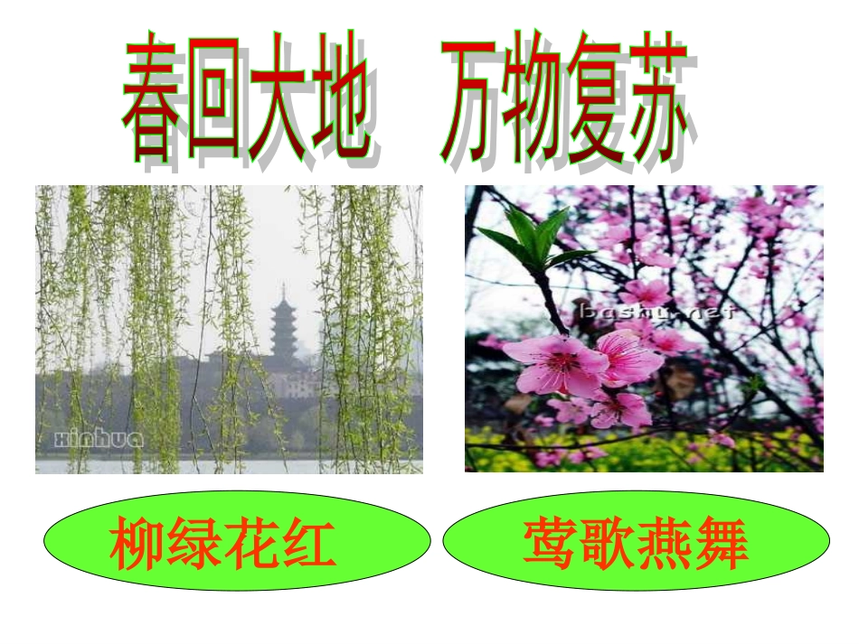 一年级下册语文《春雨的色彩》_第2页