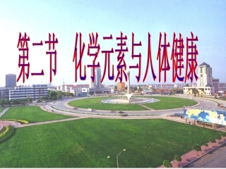 课题2　化学元素与人体健康2