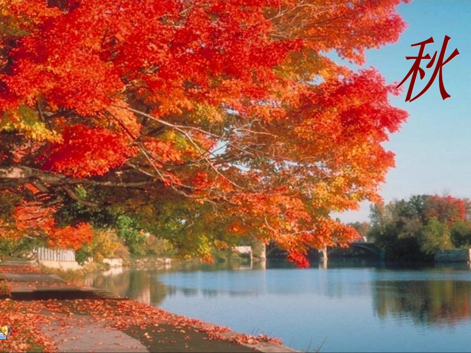 《秋天》课件4_第1页