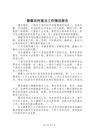 督察农村重点工作情况报告