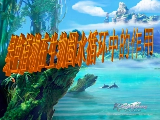 绿色植物在生物圈水循环的作用