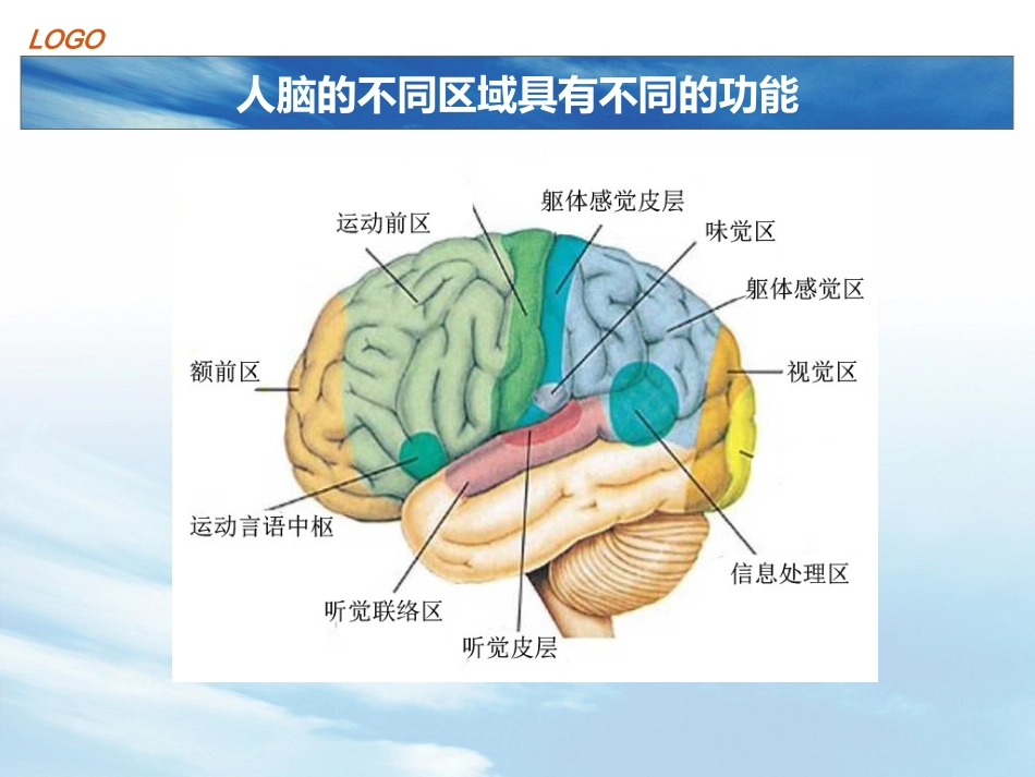 计算机硬件的基本组成_第2页