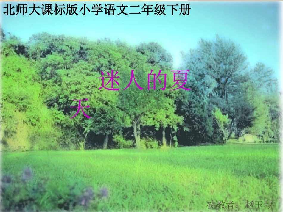 北师大版小学二年级下册语文《迷人的夏天》课件PPT_第1页