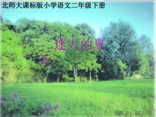 北师大版小学二年级下册语文《迷人的夏天》课件PPT