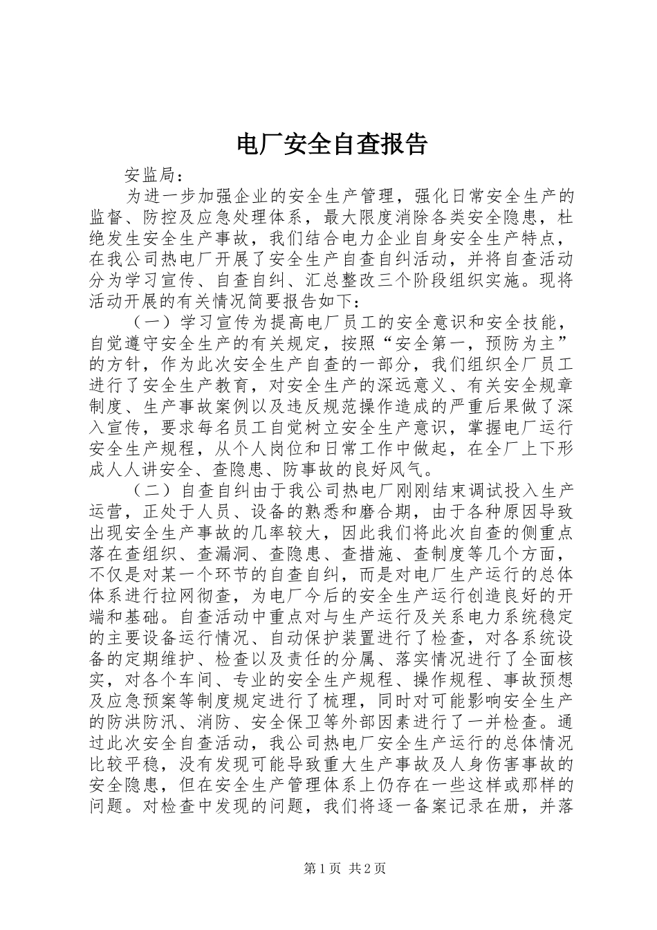电厂安全自查报告_第1页