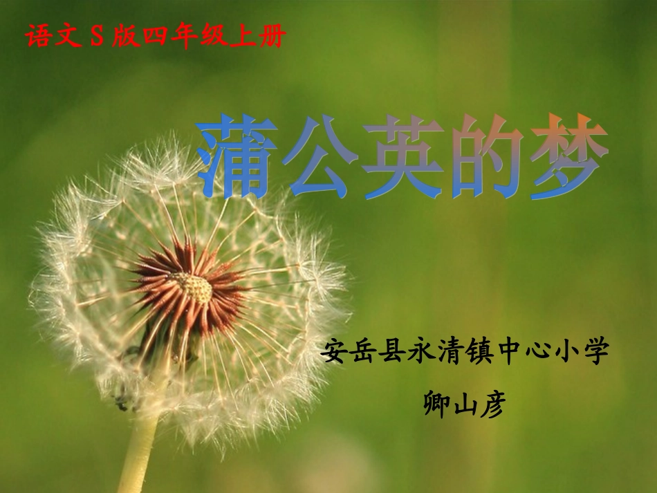 《蒲公英的梦》_第1页