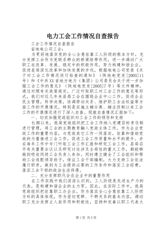 电力工会工作情况自查报告