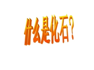人教版小学语文二年级上册《活化石》PPT课件1