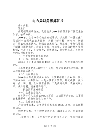 电力局财务预算汇报