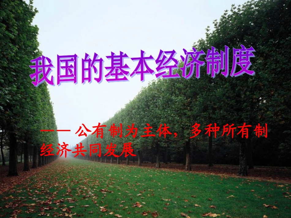 [中学联盟]江苏省淮安市涟水县第一中学高中政治必修1课件：42+我国的基本经济制度（共38张PPT）_第3页