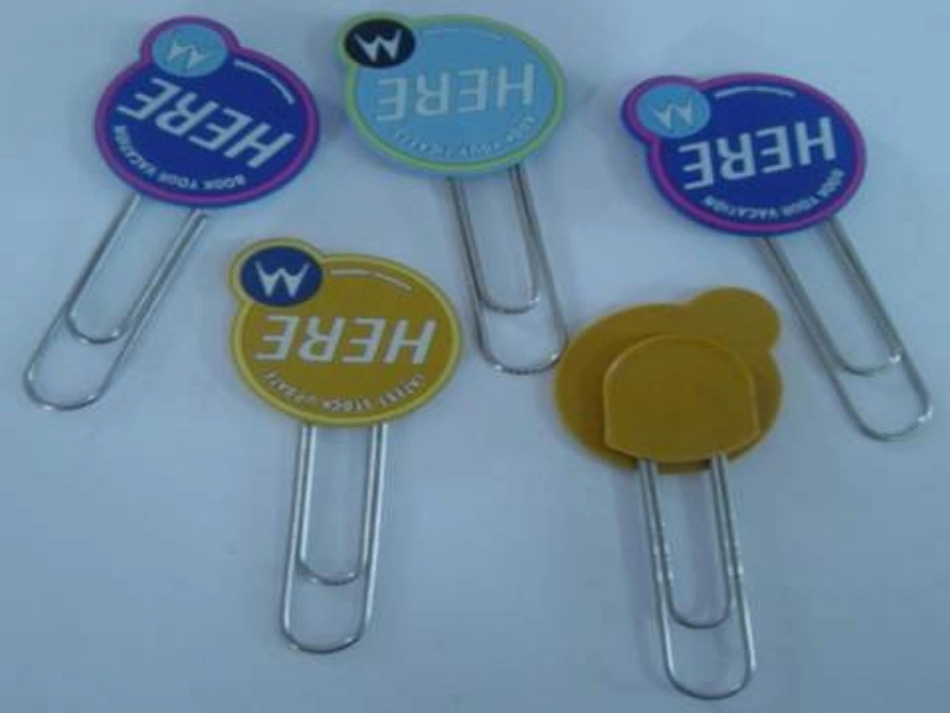 《一张美丽的红枫叶》_第1页