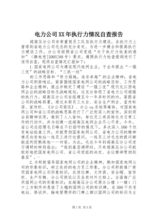 电力公司XX年执行力情况自查报告
