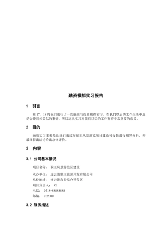 融资模拟实习报告样本