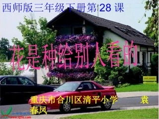 花是种给别人看的课件