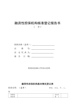 融资性担保机构核准登记报告书