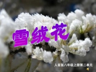 《雪绒花》课件